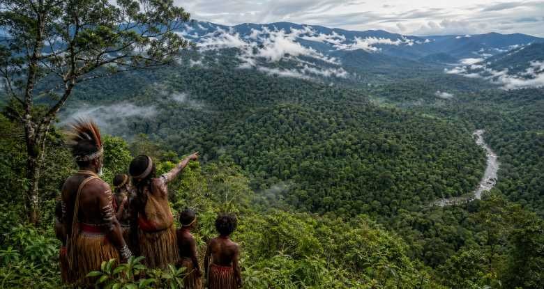 Papua Pegunungan Benteng Terakhir Hutan Tropis