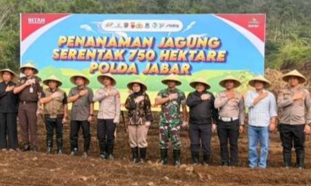 Dukung Ketahanan Pangan Polda Jabar Cek Kesiapan Lahan Jagung Serentak di Garut