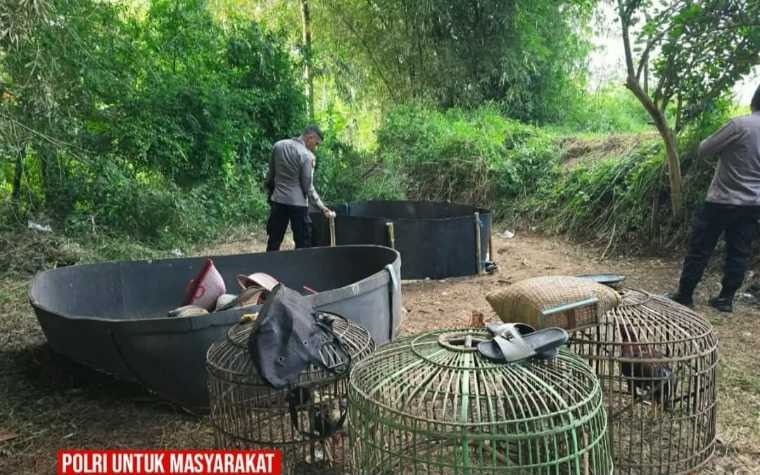 Arena Sabung Ayam di Kebun Bambu Digerebek Polisi, Sejumlah Barang Bukti Diamankan